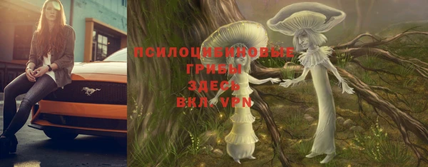 mdpv Алзамай