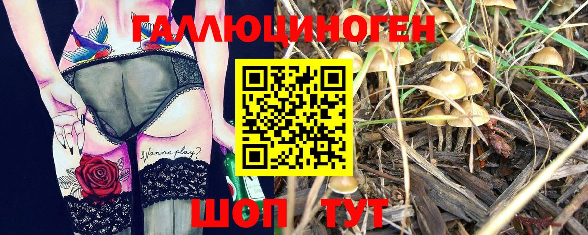 Елабуга  Псилоцибиновые грибы Psilocybine cubensis  Вход с VPN  Галлюциногенные грибы ЛСД 